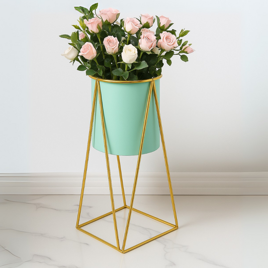 png_1500x1500_65650684