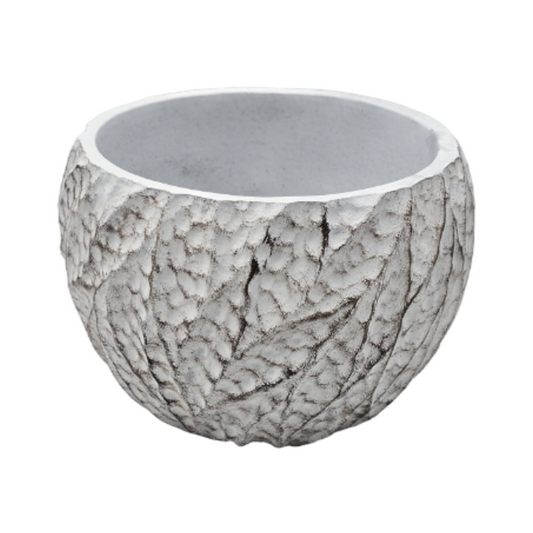 png_1500x1500_60127517