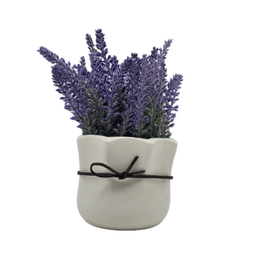 png_1500x1500_60313654