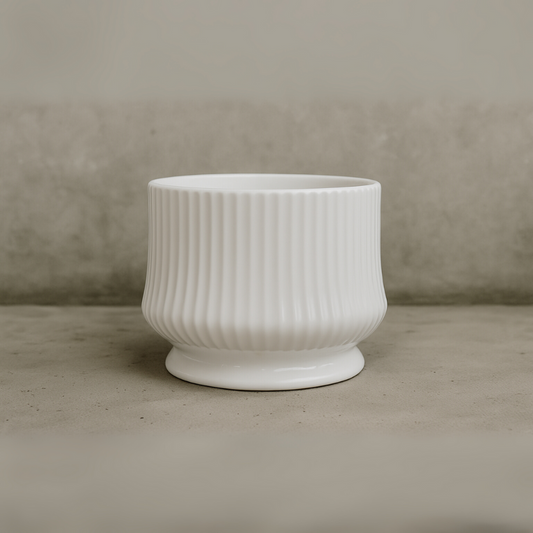 png_1500x1500_65821076