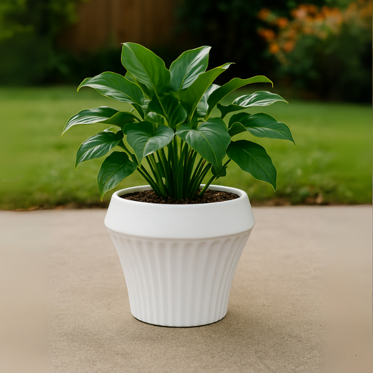 Macetero De Ceramica Blanco Mate Lineas Decorativas Maceta L