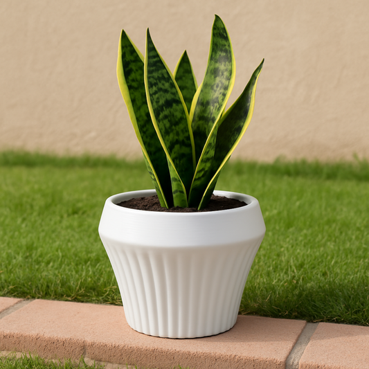 Macetero De Ceramica Blanco Mate Lineas Decorativas Maceta M