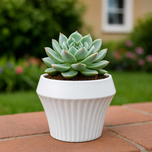 Macetero De Ceramica Blanco Mate Lineas Decorativas Maceta S