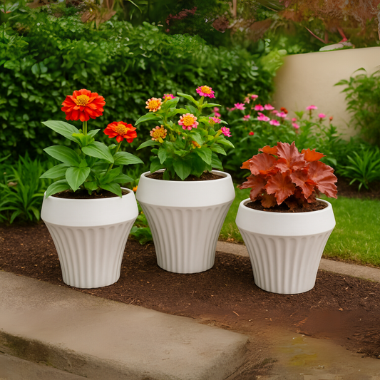 Set 3 Maceteros Maceta De Cerámica Blancos Líneas