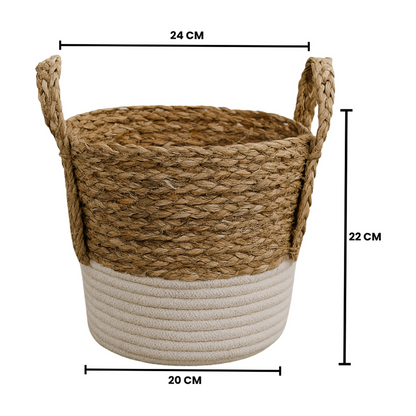 png_1500x1500_65799426