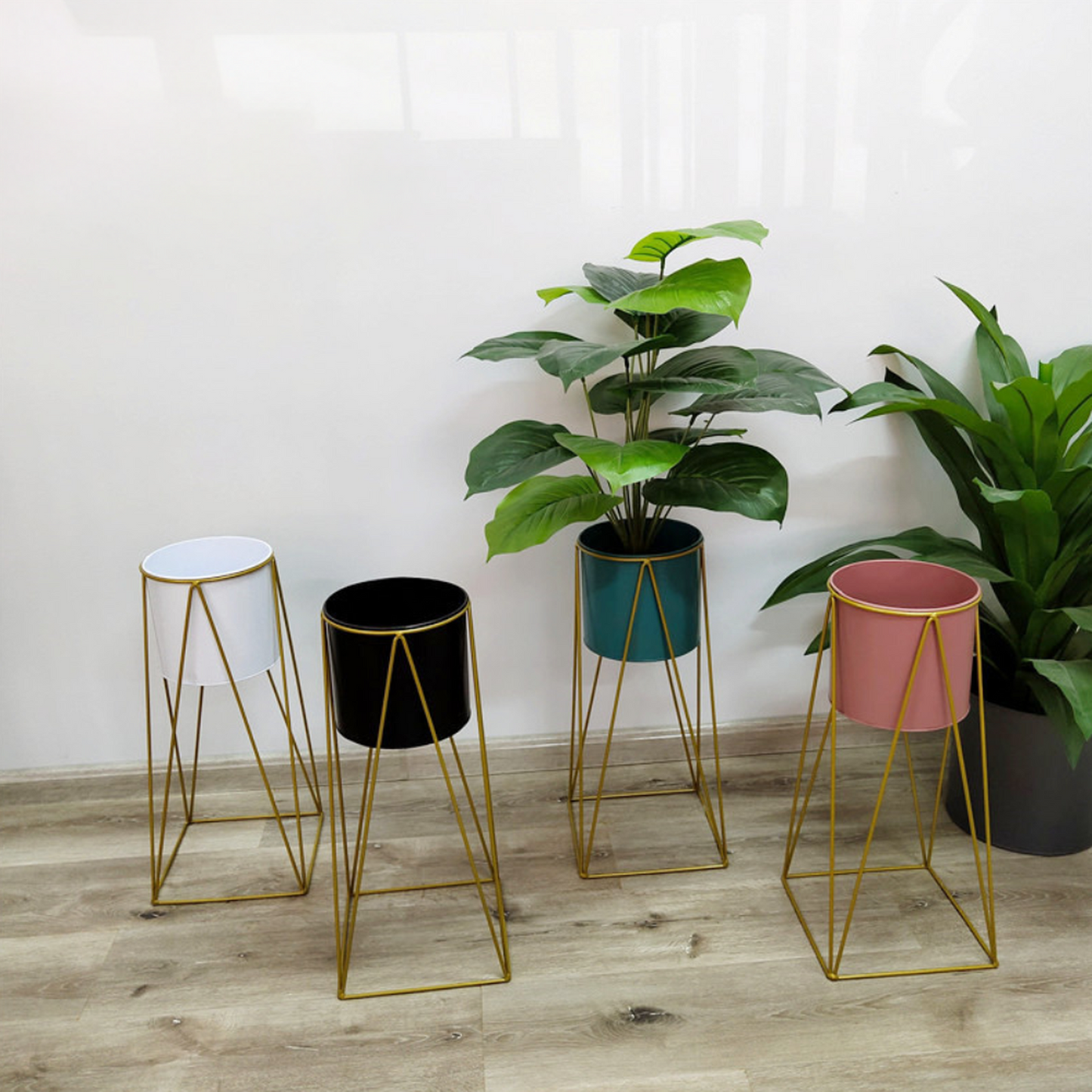 png_1500x1500_65650656