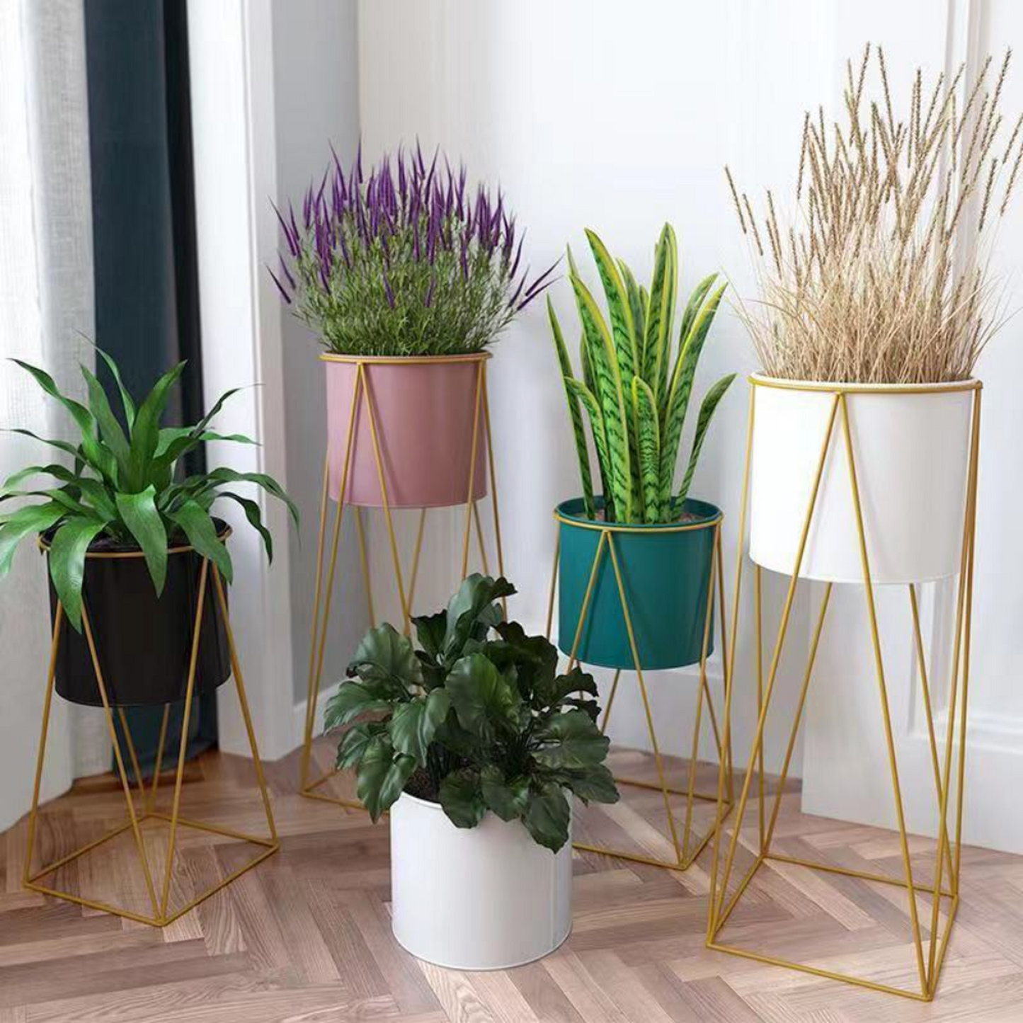 png_1500x1500_65650661