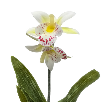 png_1500x1500_61881975