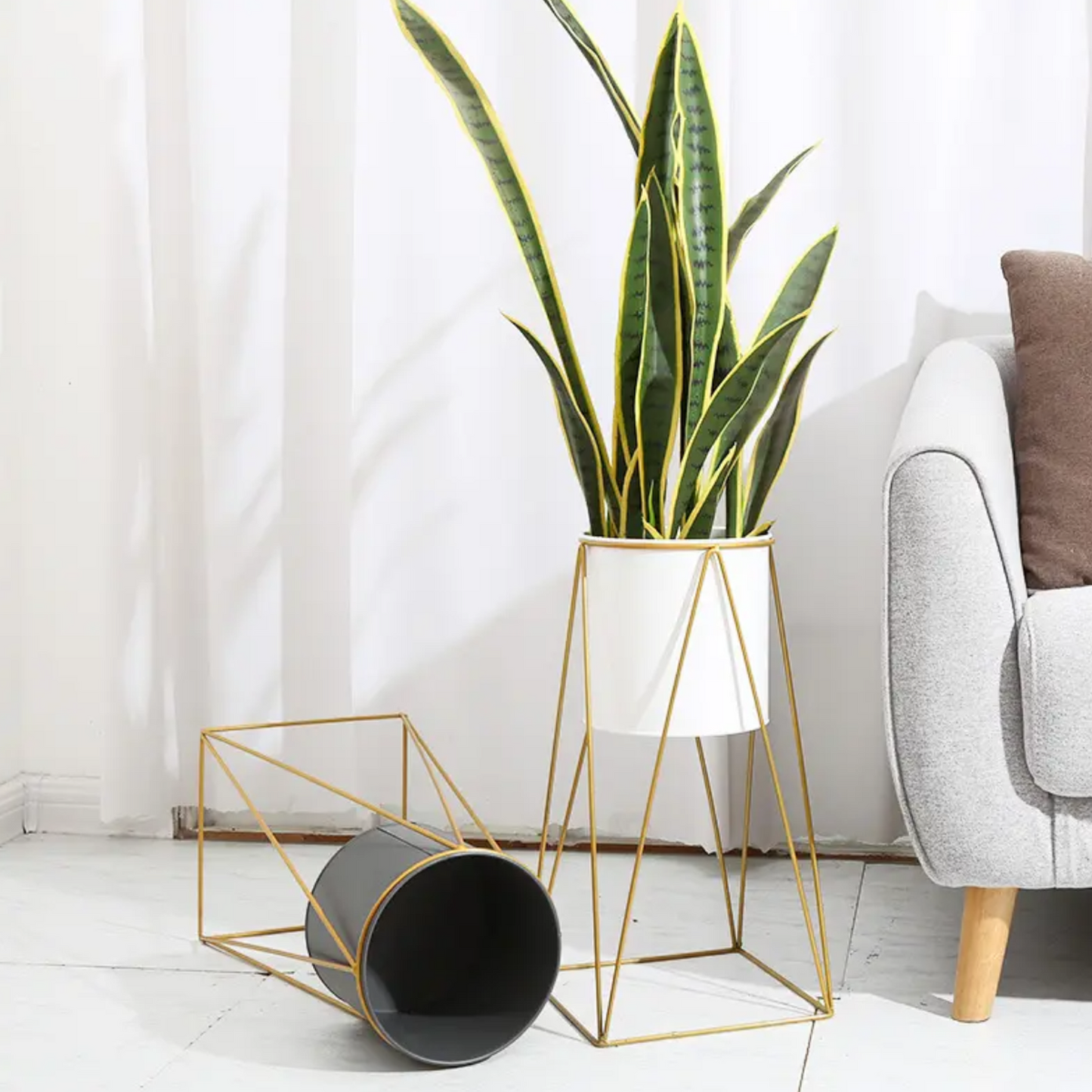 png_1500x1500_59720369