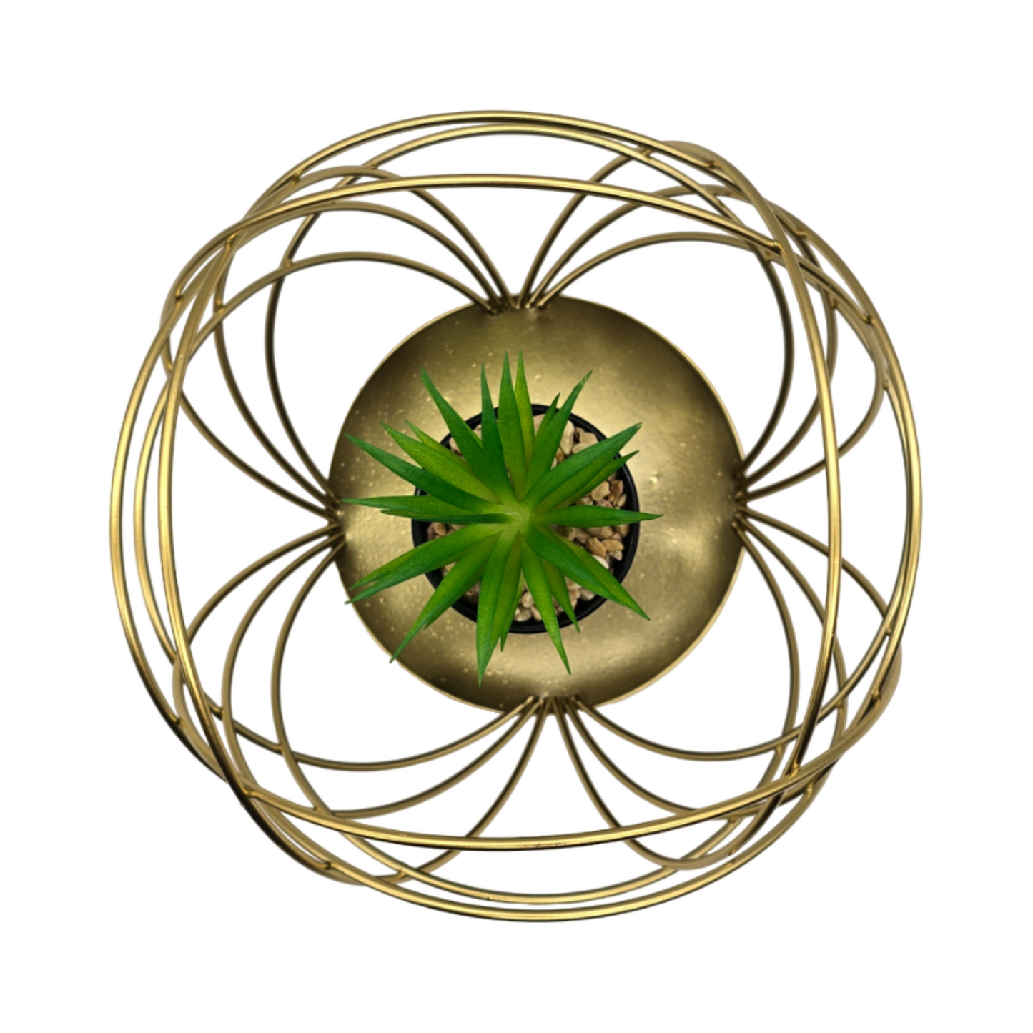png_1500x1500_60284766