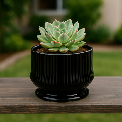 png_1500x1500_65821135