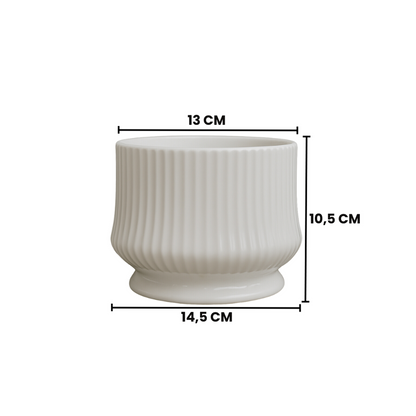 png_1500x1500_65821075