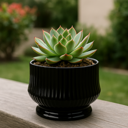 png_1500x1500_65821573