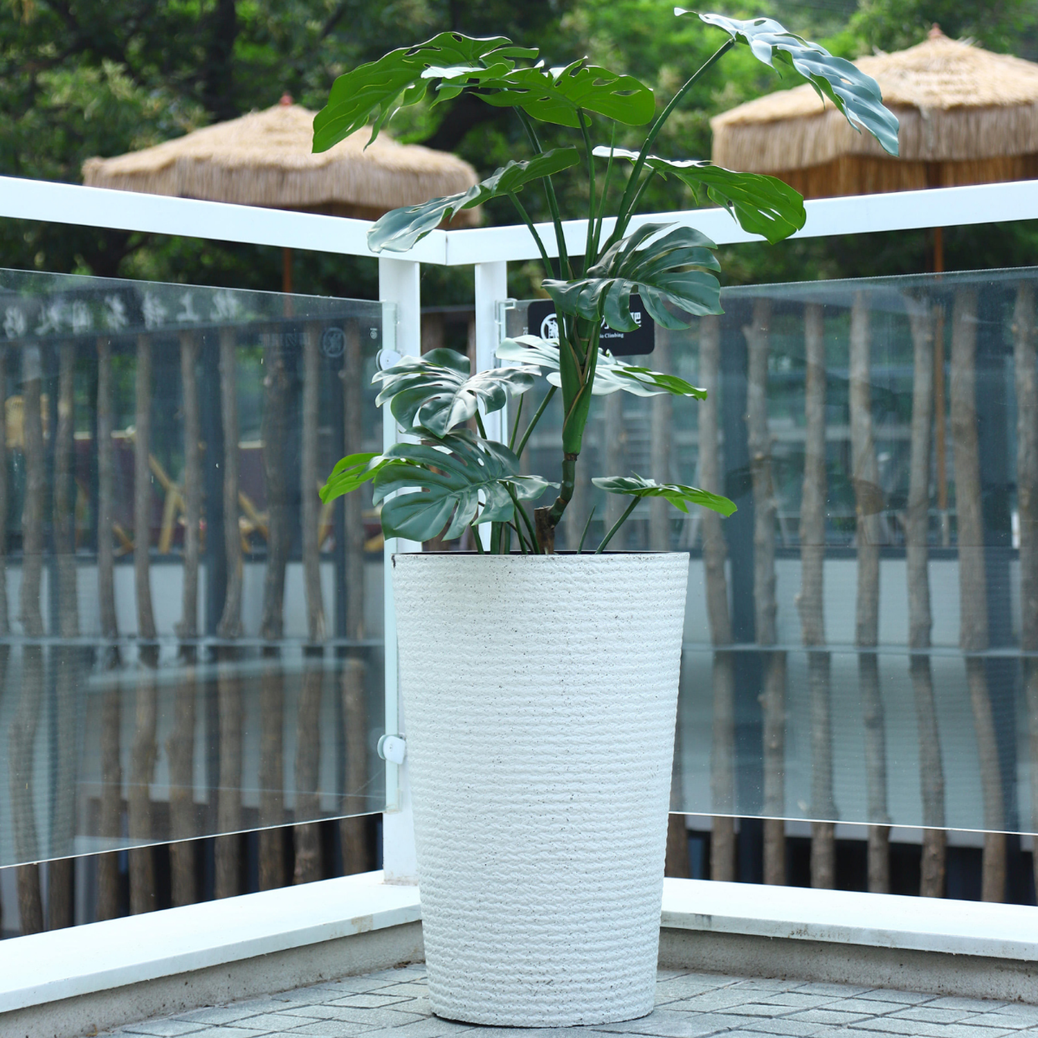 png_1500x1500_65257835