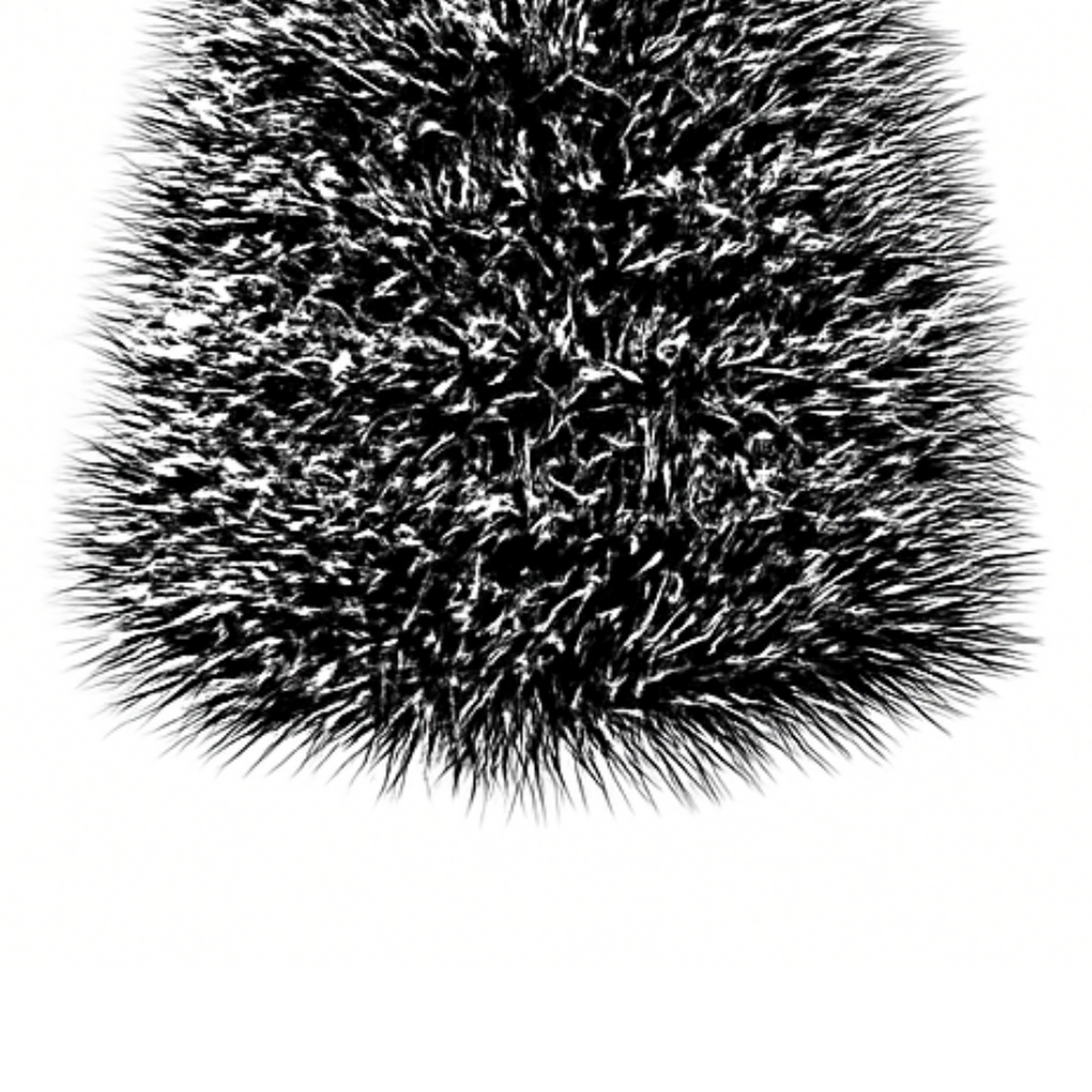 png_1500x1500_66000755