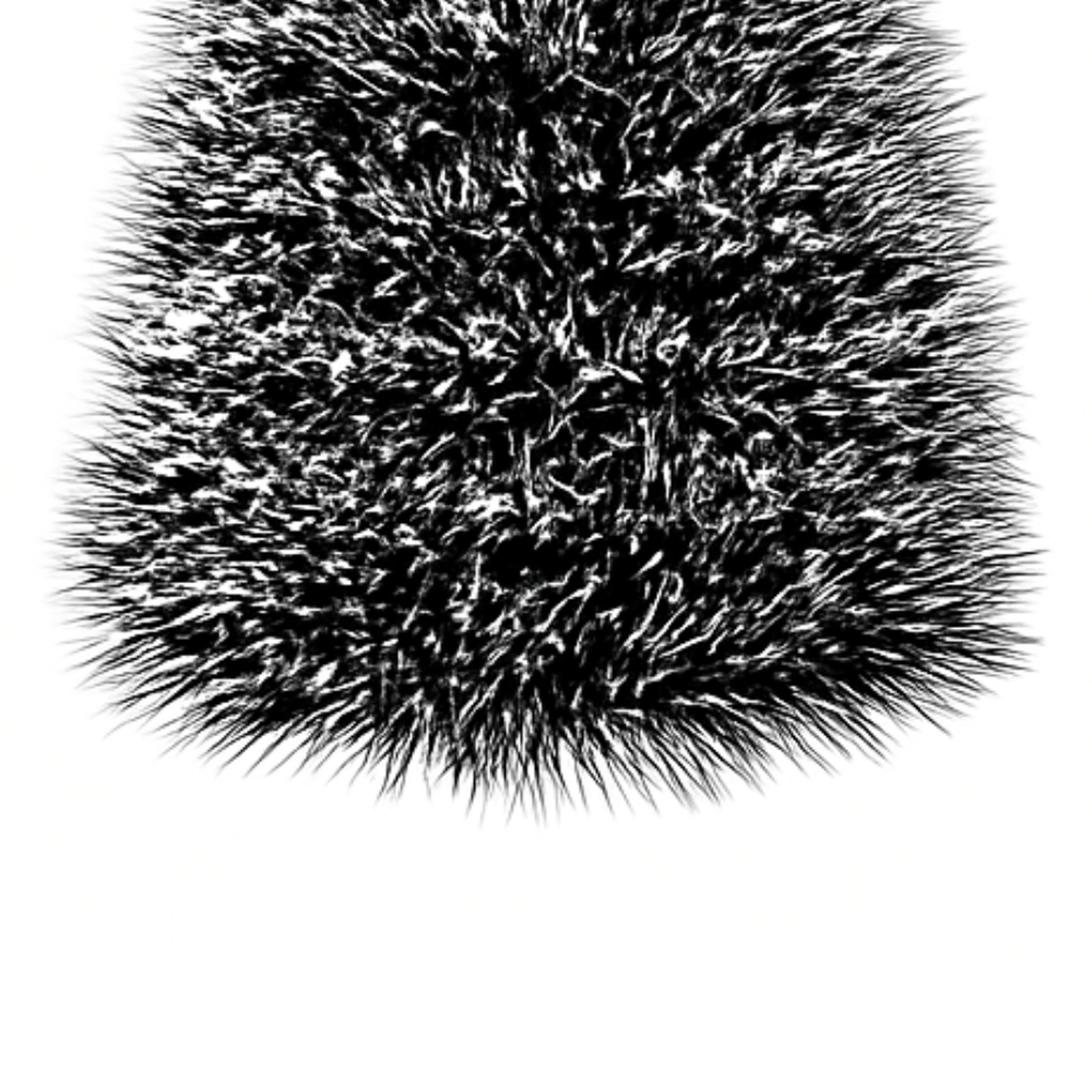 png_1500x1500_66000755