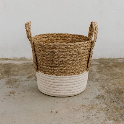 png_1500x1500_65799442