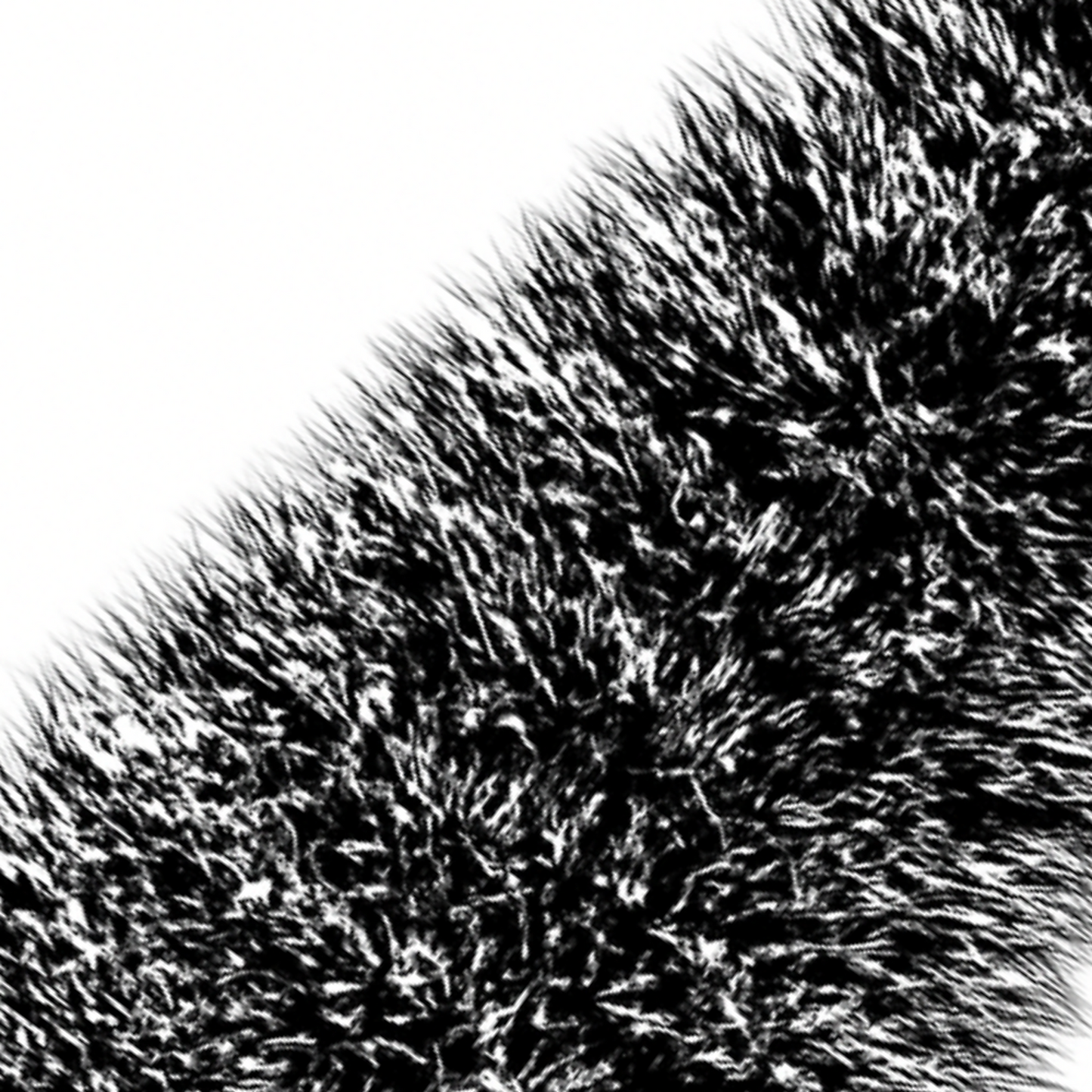 png_1500x1500_66000721