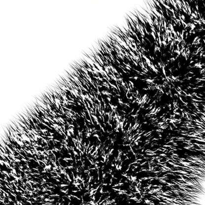 png_1500x1500_66000721