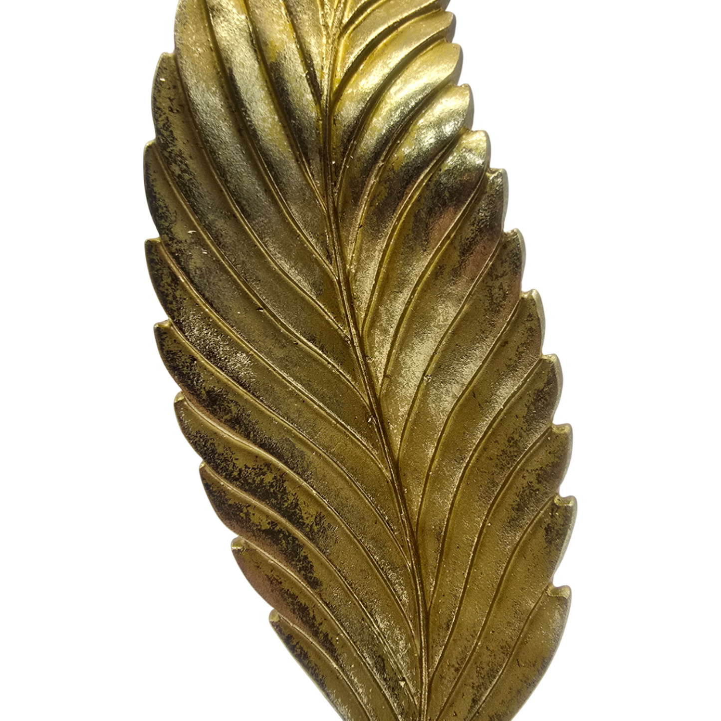 png_1500x1500_61880091