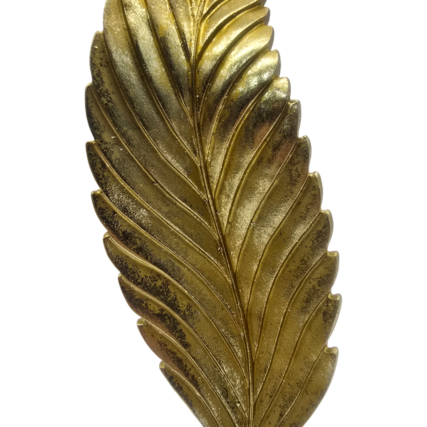 png_1500x1500_61880091
