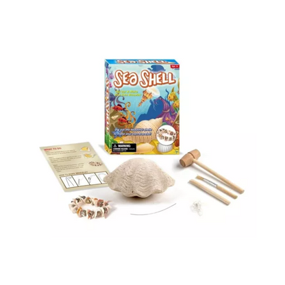 Kit Excavación Conchita De Mar Y Brazalete Juguete Educativo