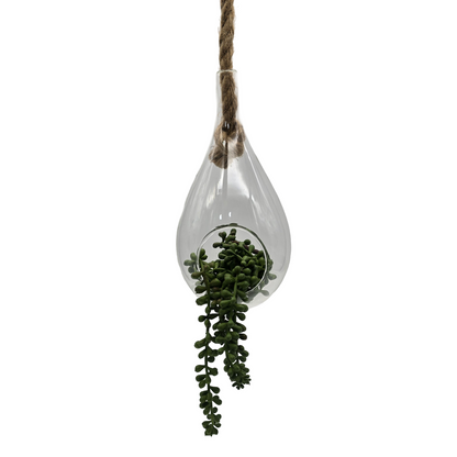 png_1500x1500_61903403