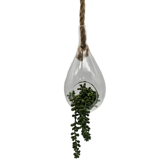 png_1500x1500_61903403