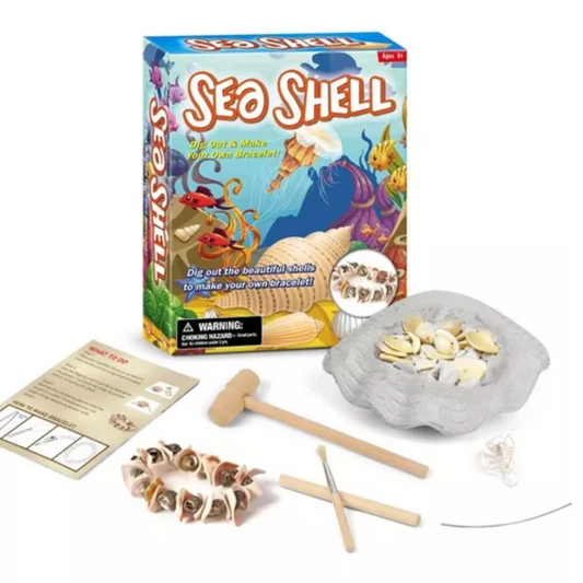 Kit Excavación Conchita De Mar Y Brazalete Juguete Educativo