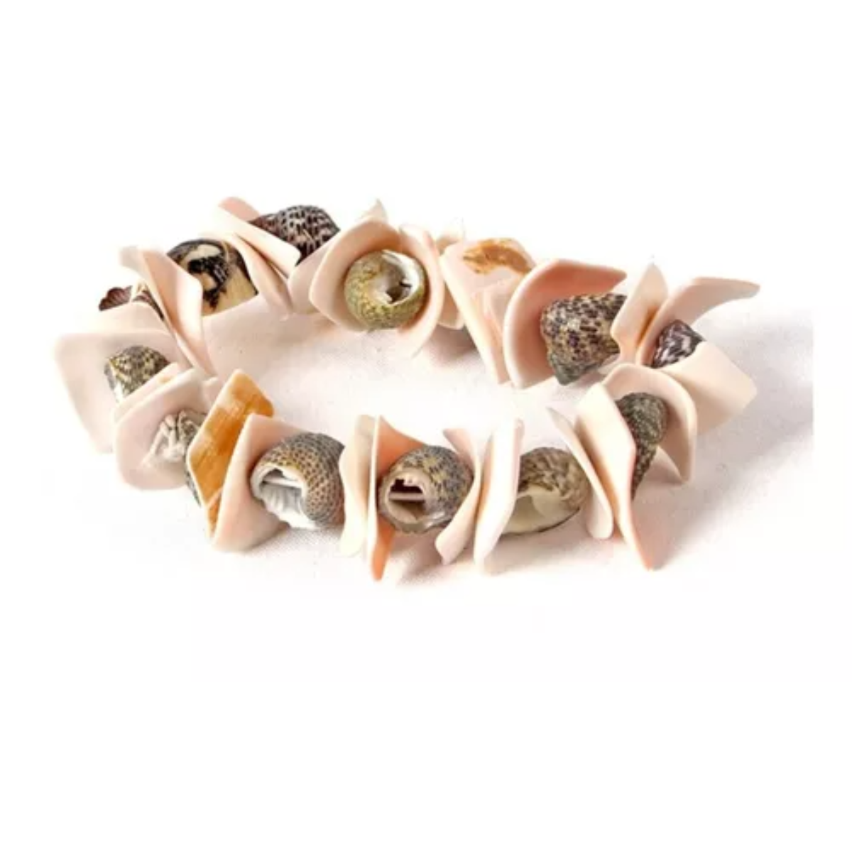 Kit Excavación Conchita De Mar Y Brazalete Juguete Educativo