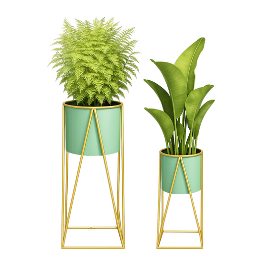 png_1500x1500_65652362