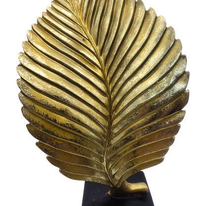 png_1500x1500_61913300