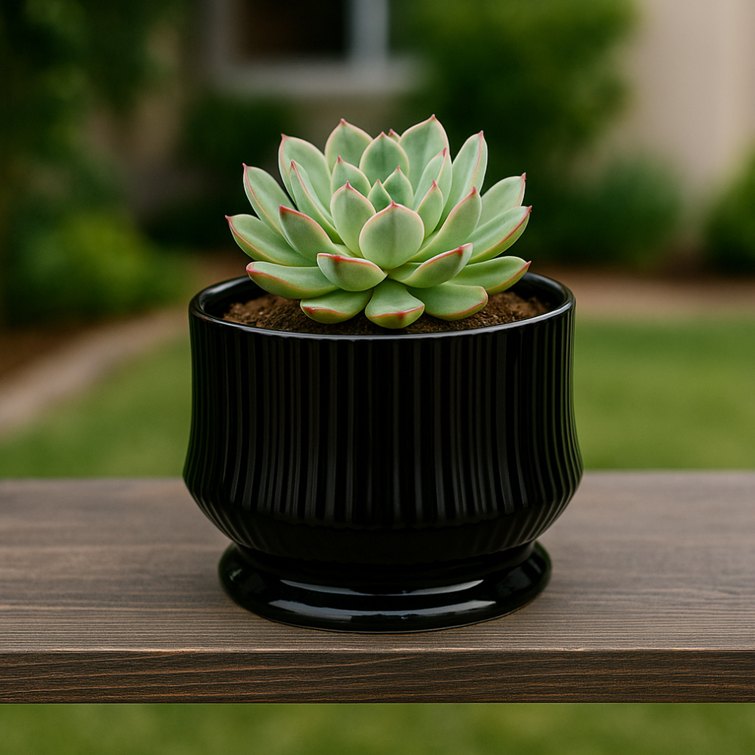 png_1500x1500_65821343