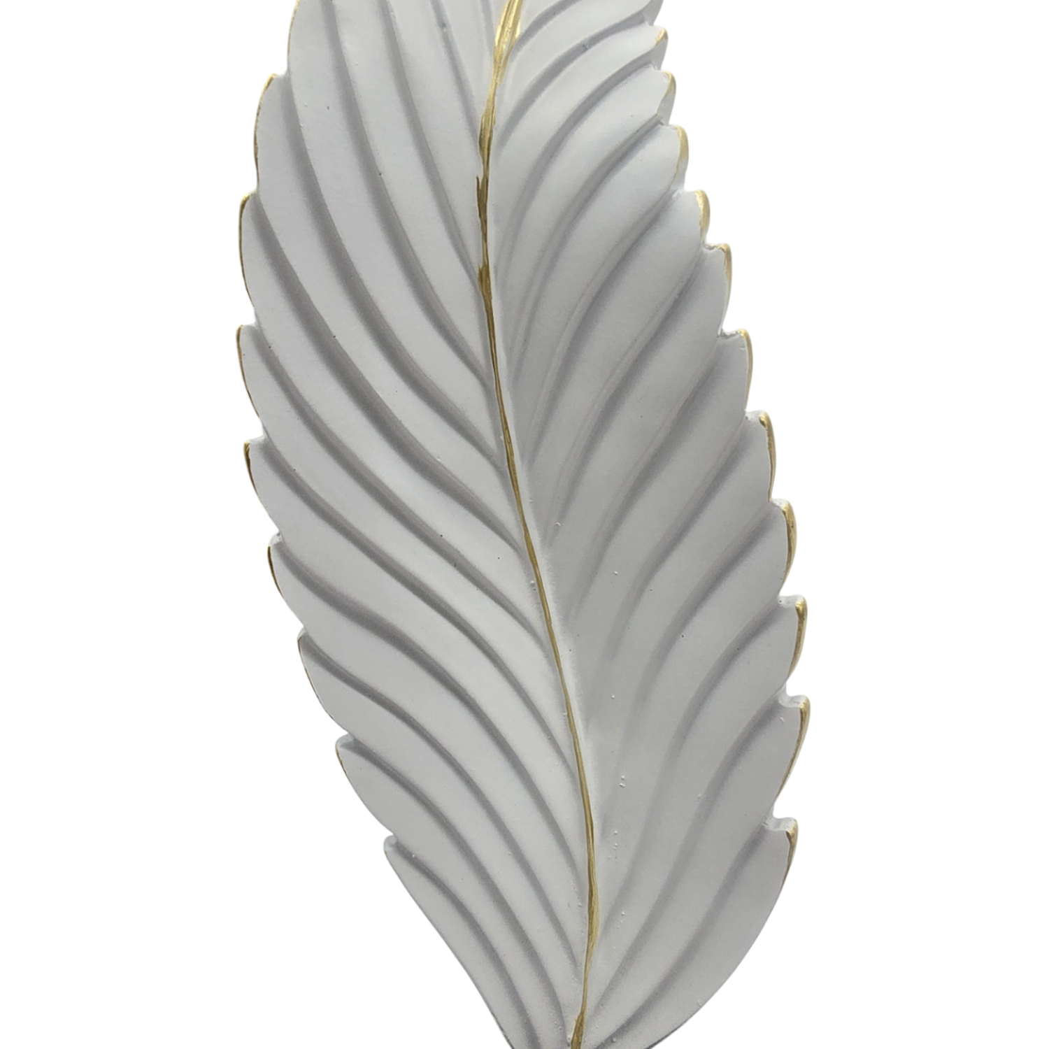 png_1500x1500_61913572