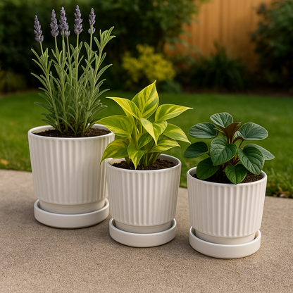 png_1500x1500_65792969