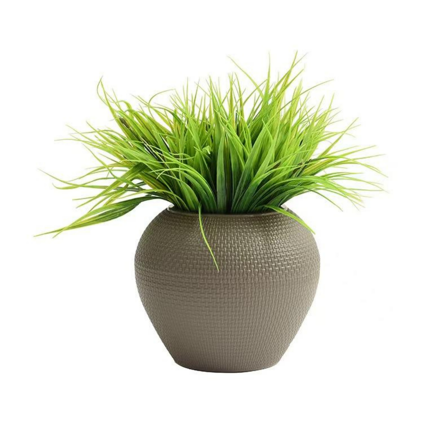 png_1500x1500_61901135