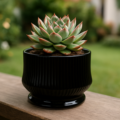 png_1500x1500_65821113