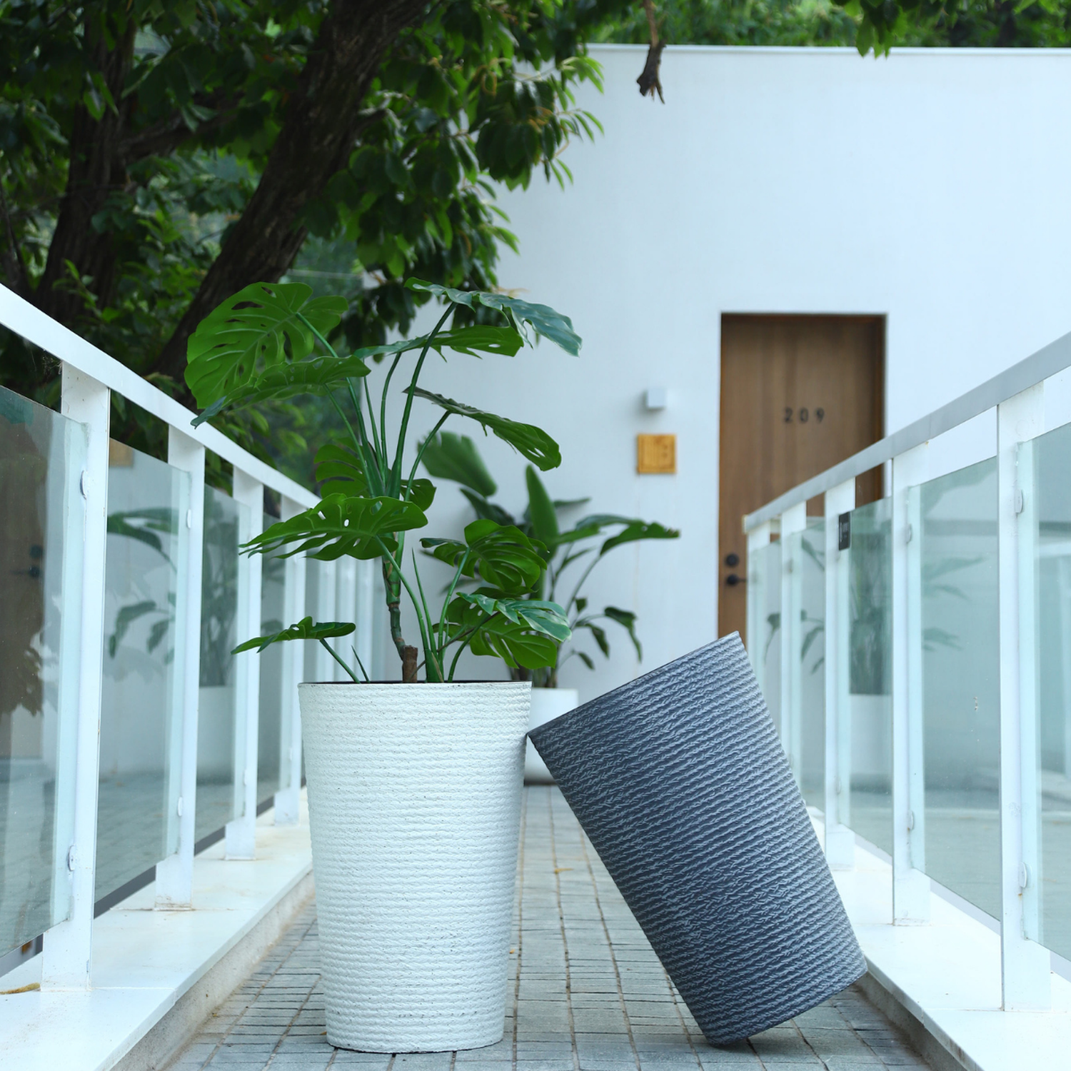 png_1500x1500_65257786