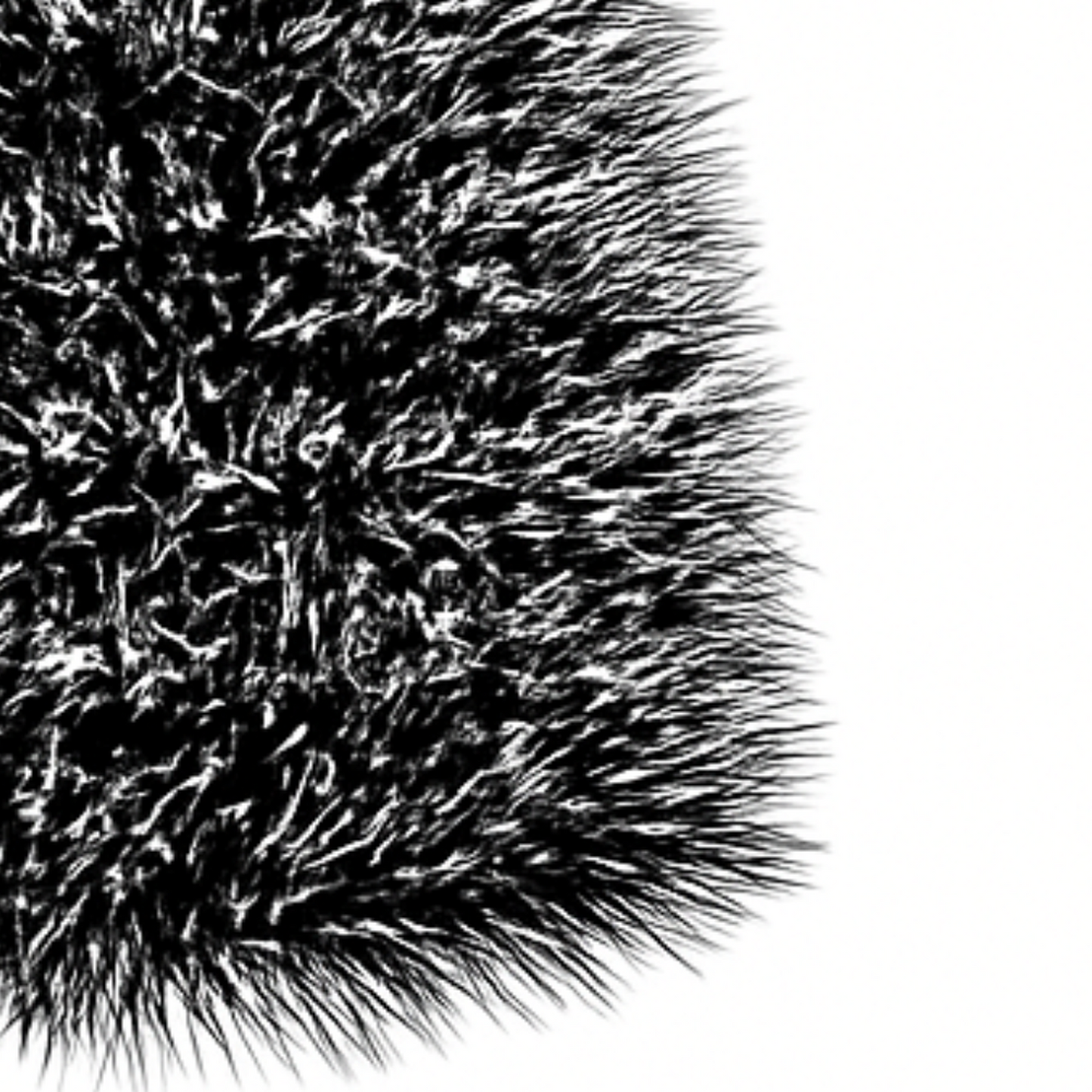 png_1500x1500_66000756