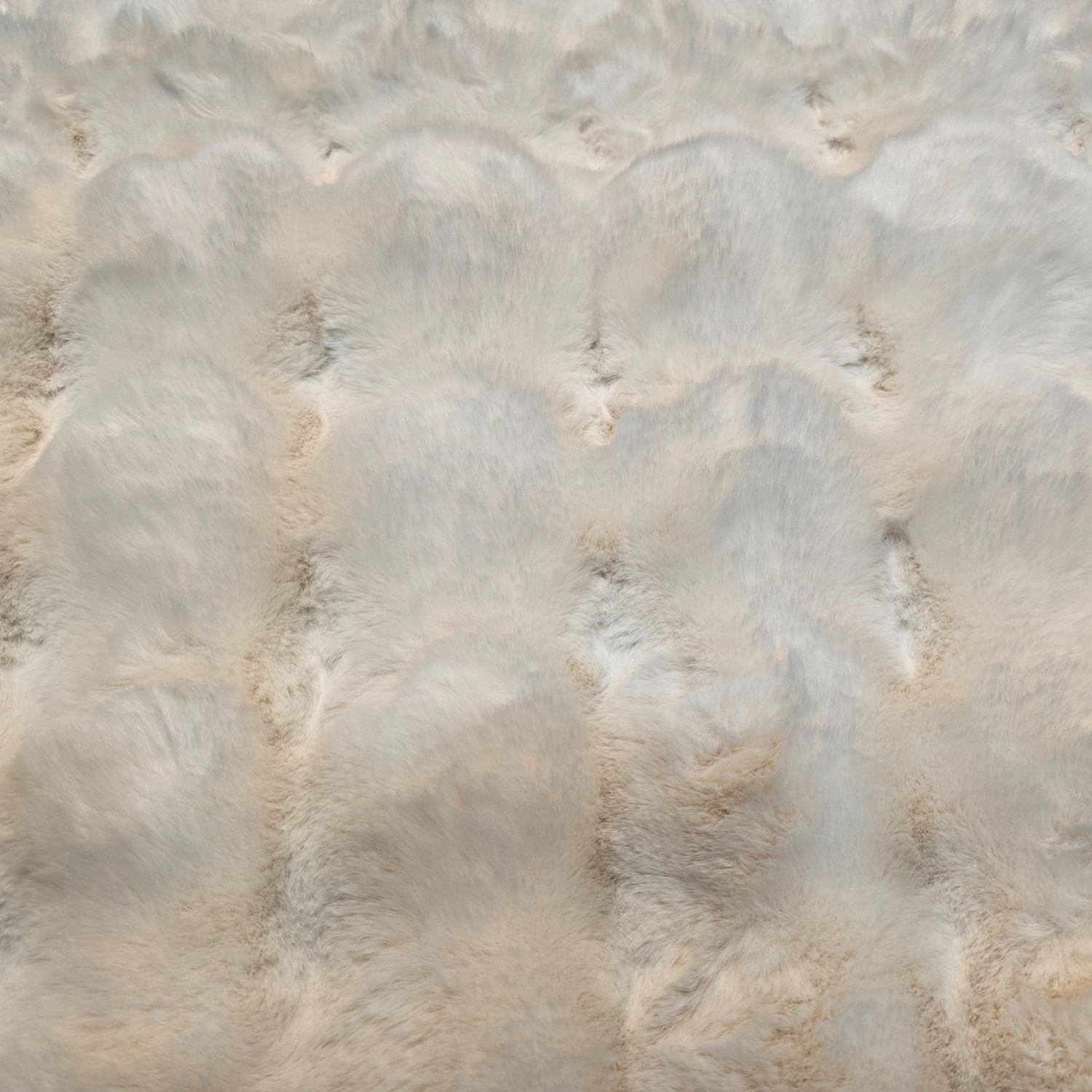 png_1500x1500_60361573