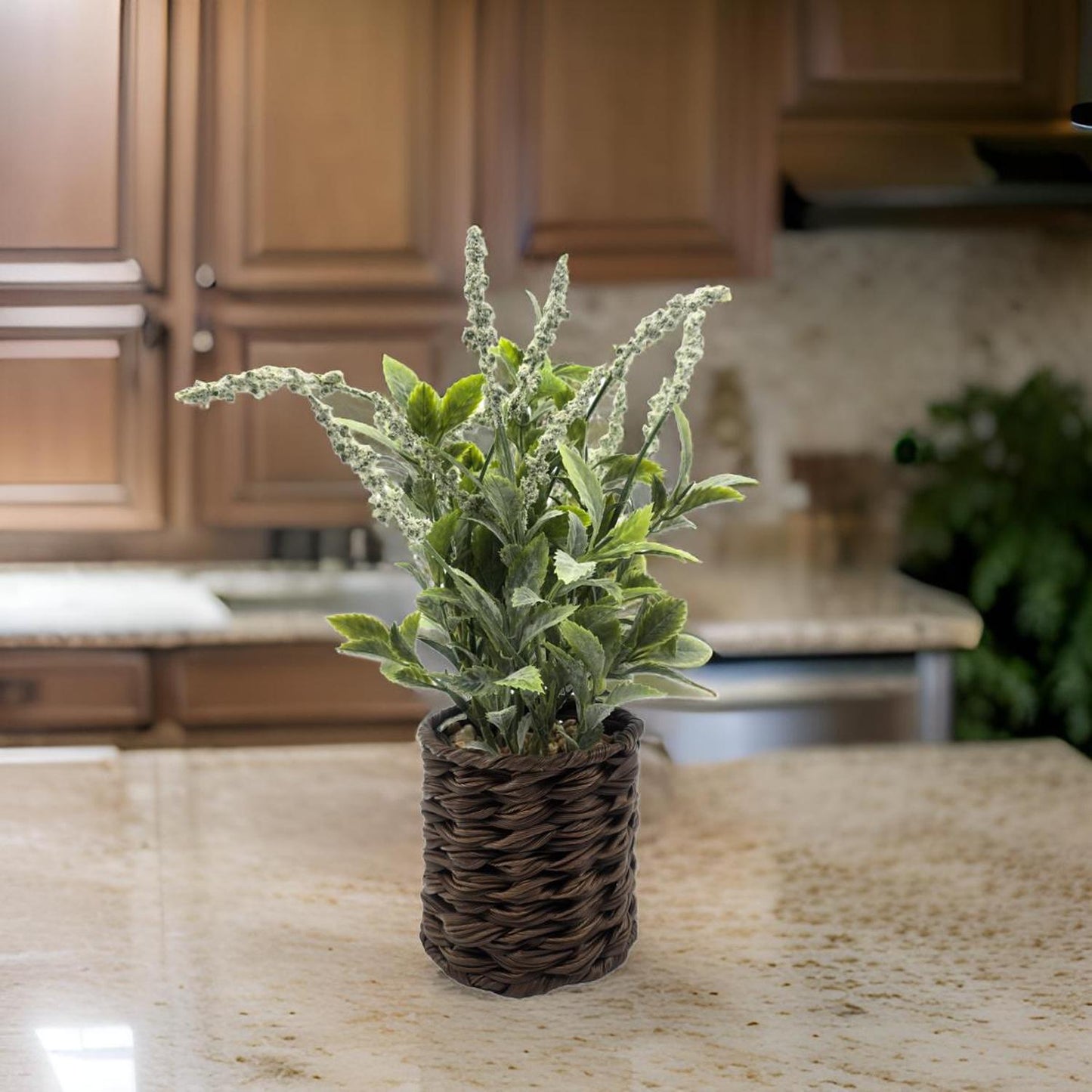 jpeg_1500x1500_60284615