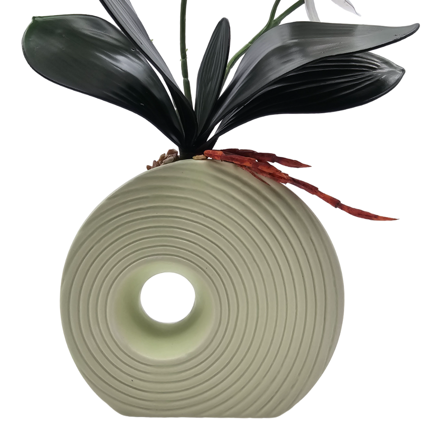 png_1500x1500_60284612