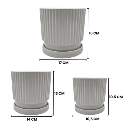 png_1500x1500_65792944