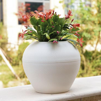 png_1500x1500_61901110