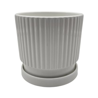 png_1500x1500_65792974