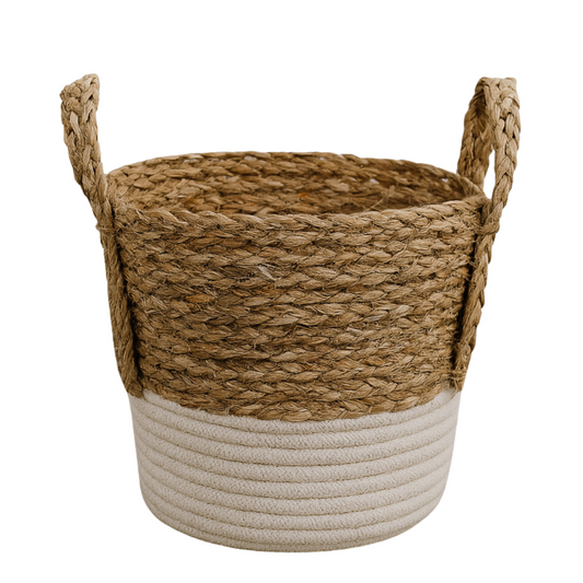 png_1500x1500_65799452