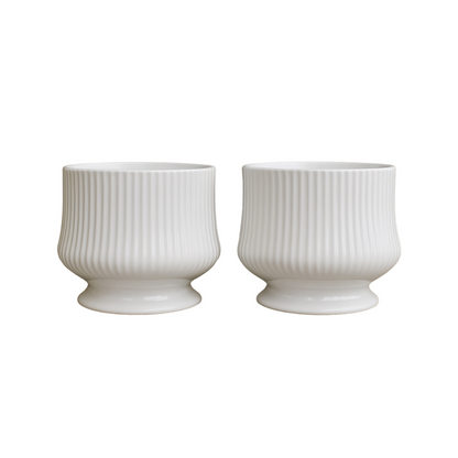 png_1500x1500_65821087