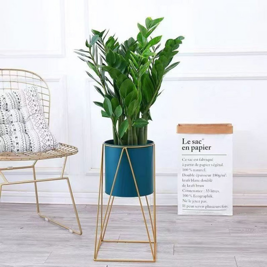 png_1500x1500_65634978