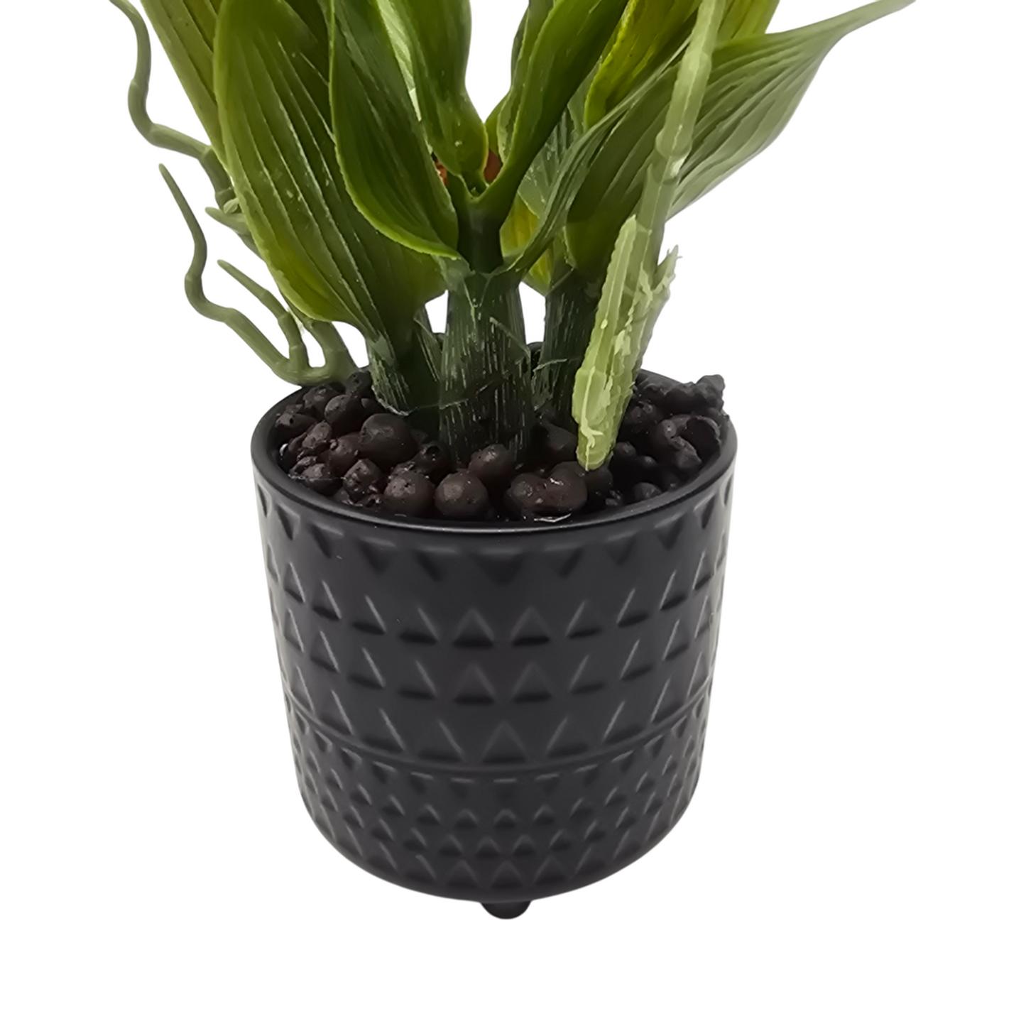 png_1500x1500_61912981