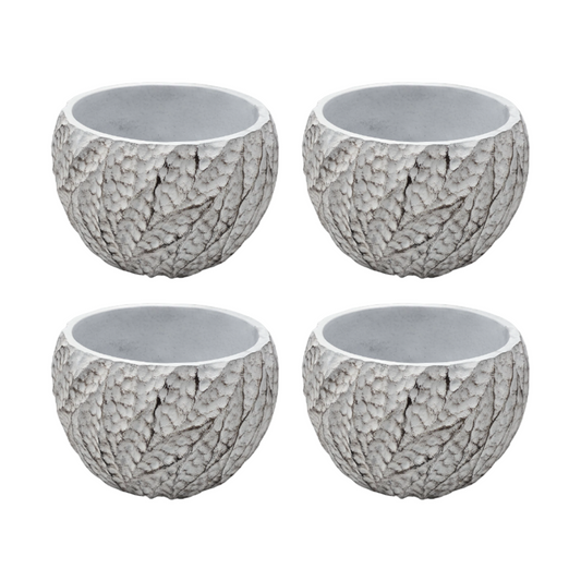 png_1500x1500_60127504